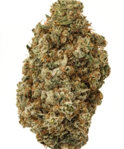 Buy Alien OG Aussie