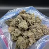 Animal Face Strain