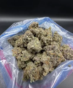 Animal Face Strain