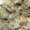 Buy Candy Land Weed