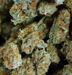 Ghost Train Haze