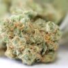 Girls Scout Cookies