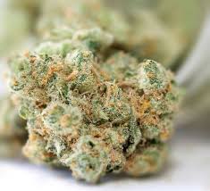 Girls Scout Cookies