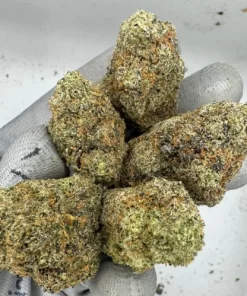 Aussie-420 Kush