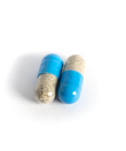 Mycelium Silver 100mg